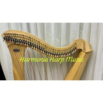 SOLD - 2nd Hand Salvi Gaia 38 strings Lever Harp SOLD - 2nd Hand Salvi Gaia 38 strings Lever Harp